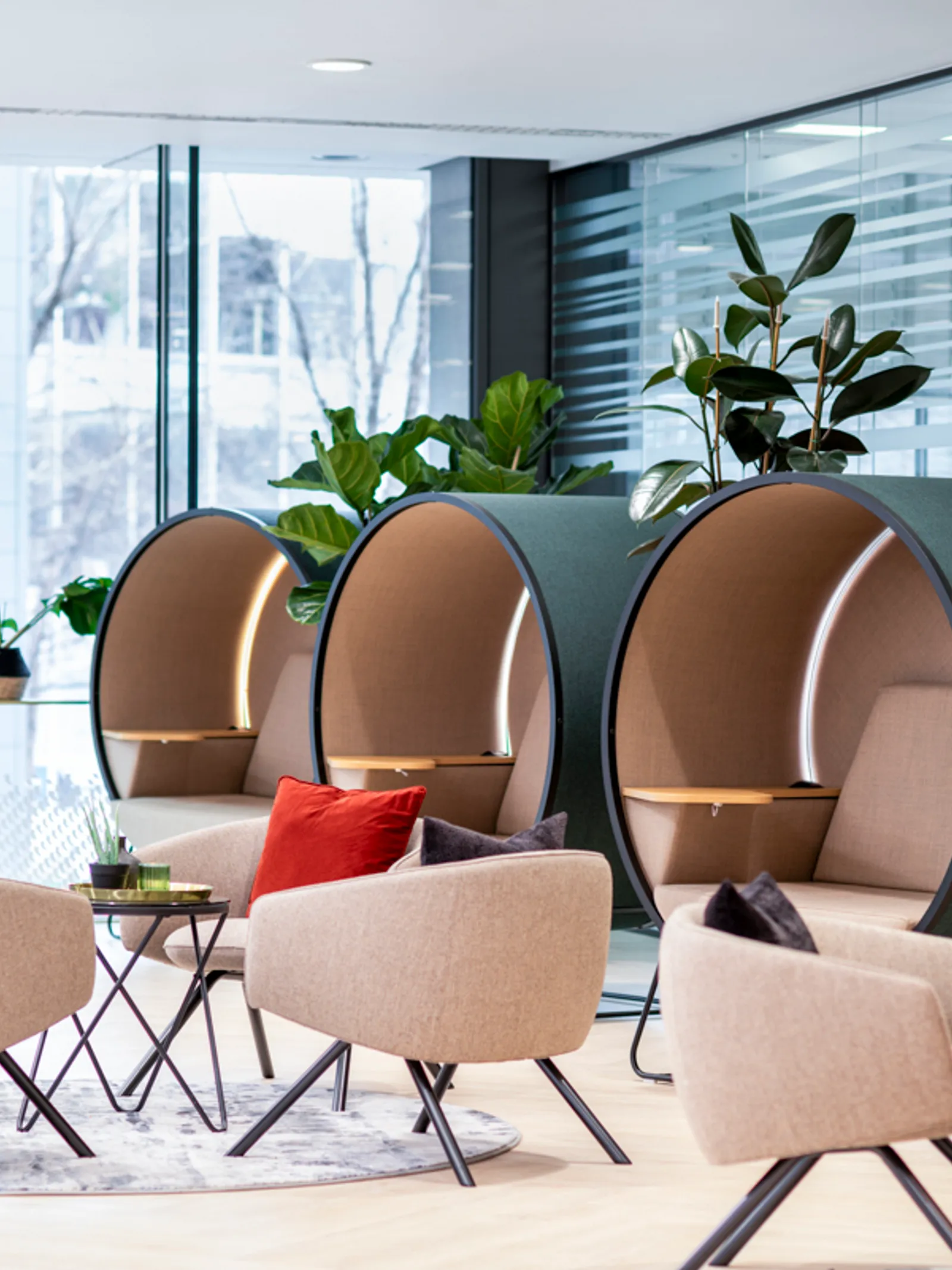 Area Orega Office Curator SMALL 19