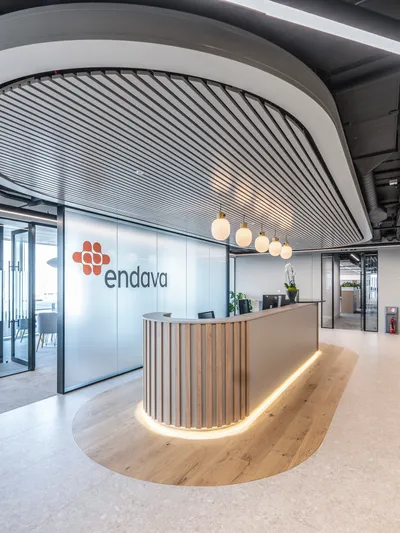 Endava TIFF 7