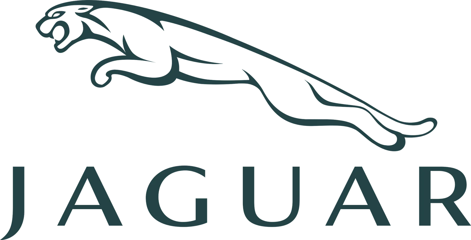 Jaguar 02