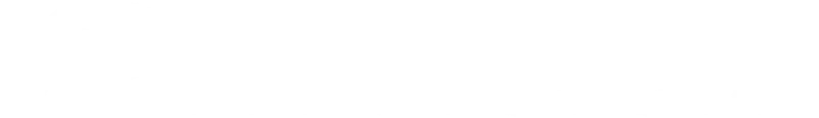 Pioneer 01