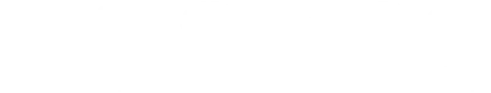 Smeg 01